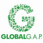 GLOBAL GAP